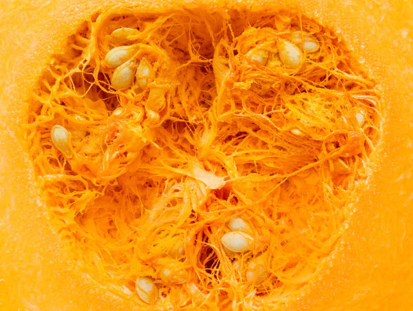 Extrait pépins de courge