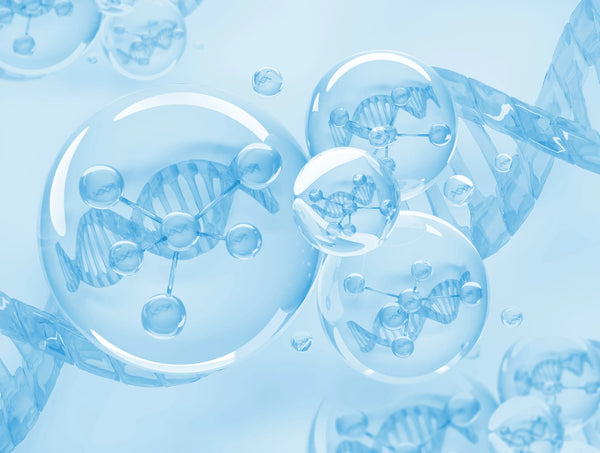 Peptides